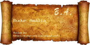 Budur Amália névjegykártya