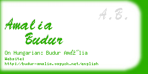 amalia budur business card